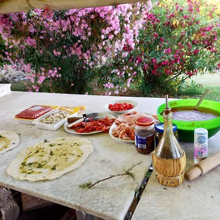Agriturismo Le Vignacce Santa Luce