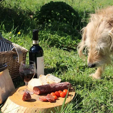 Agriturismo Le Vignacce * Санта-Луче