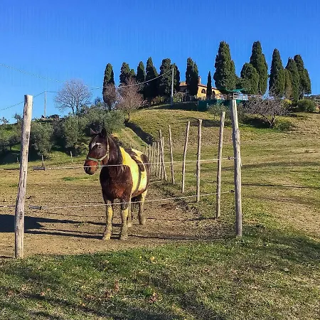 Agriturismo Le Vignacce Feriegård