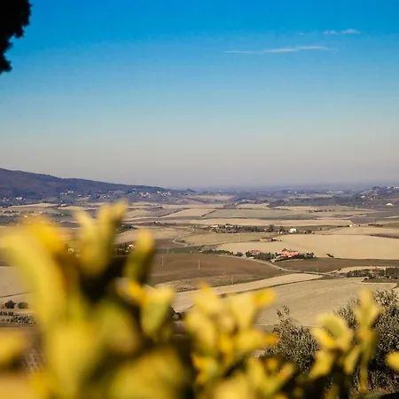 Feriegård Agriturismo Le Vignacce Santa Luce