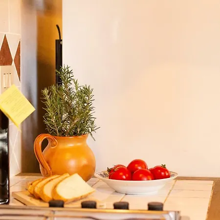 Vakantieboerderij Agriturismo Le Vignacce